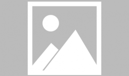 瑶柱是什么东西,探寻海味珍品背后的故事